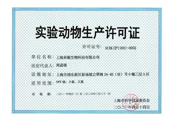 upload/20250318101250538.png
