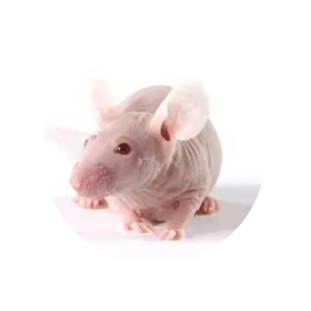 upload/img/20250326155920.png